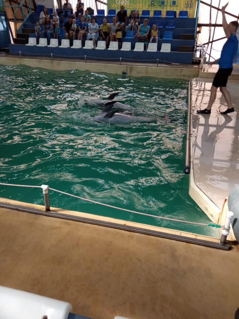 DF3401DA E37C 4356 98D8 C36C641F884E