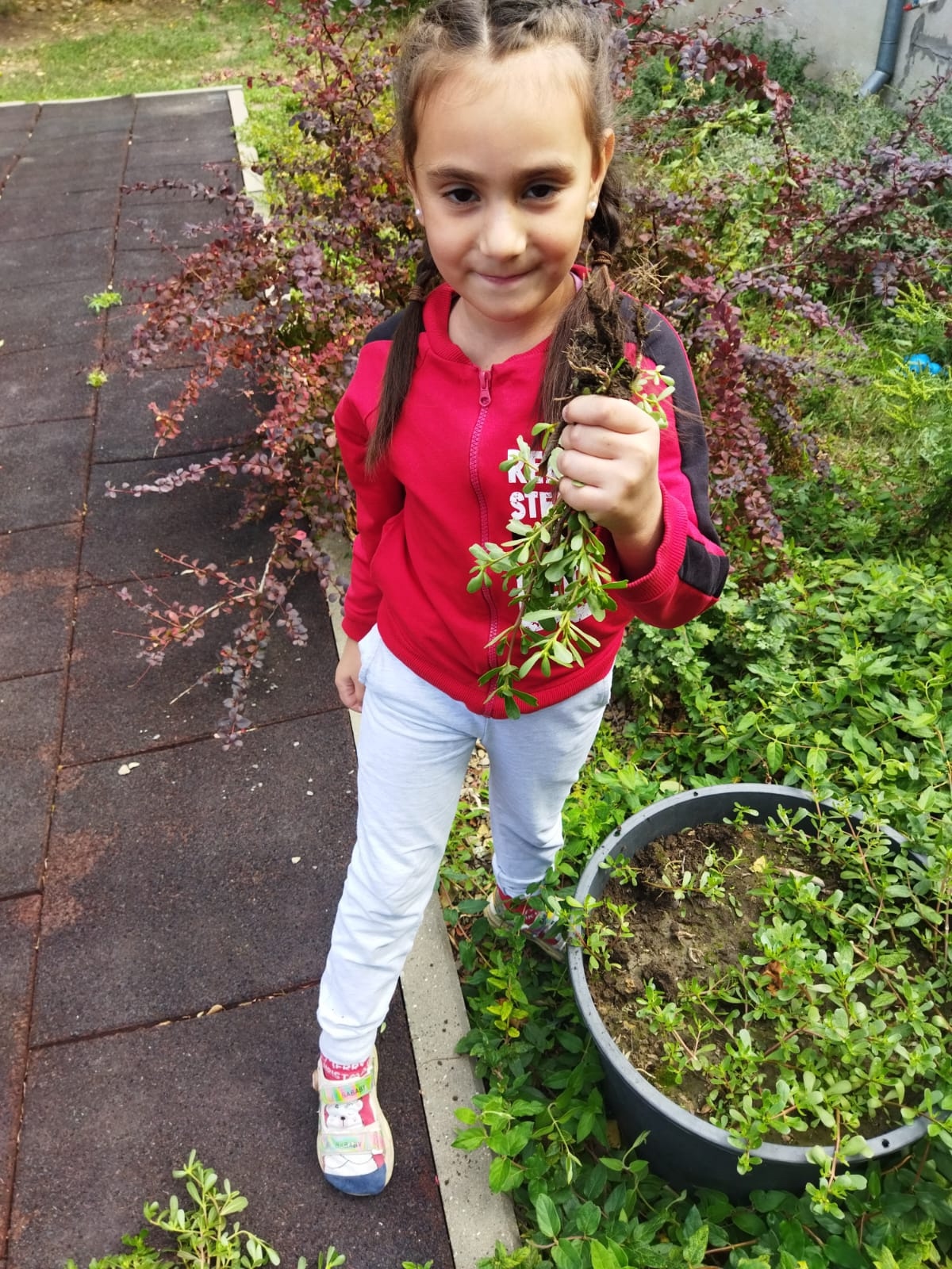 1 pl6piVXxP5edVlugm1uzue8y8oAKjH Fjg4XrAKd RI9CL0l s8a4DChDrUp9esS5PCO9GYR1SE6cu